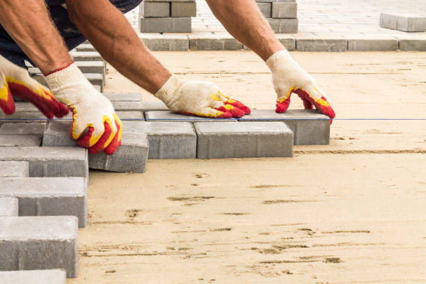 Best Driveway Paving Contractor  in Elgin, SC