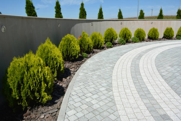 Best Residential Driveway Paver Services  in Elgin, SC